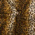 Animal Print