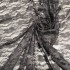Lace Plain Dyed