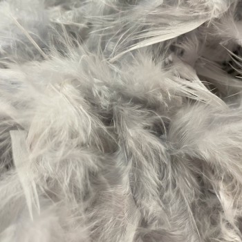 Grey feathers