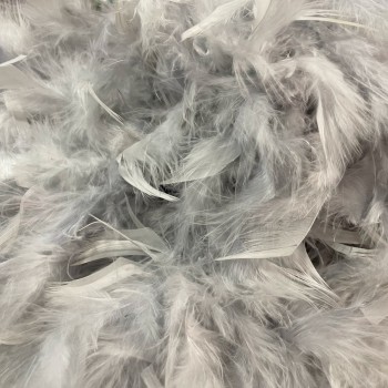 Grey feathers