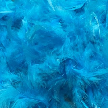 Turquoise feathers