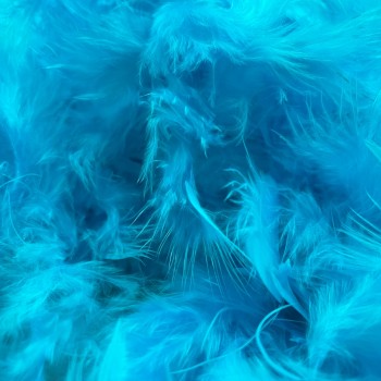 Turquoise feathers