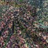 IREDESCENT GREEN-BLUE SEQUIN