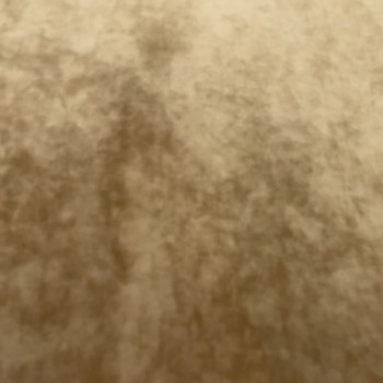 ELASTIC VELVET